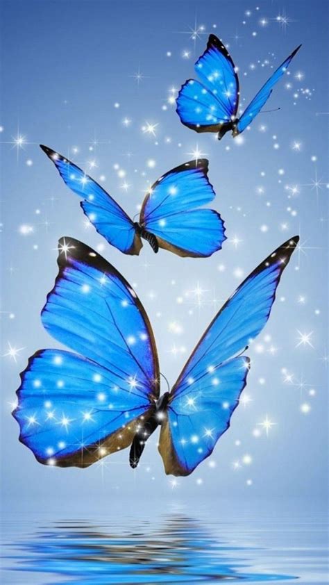 butterfly wallpaper for pc|More.